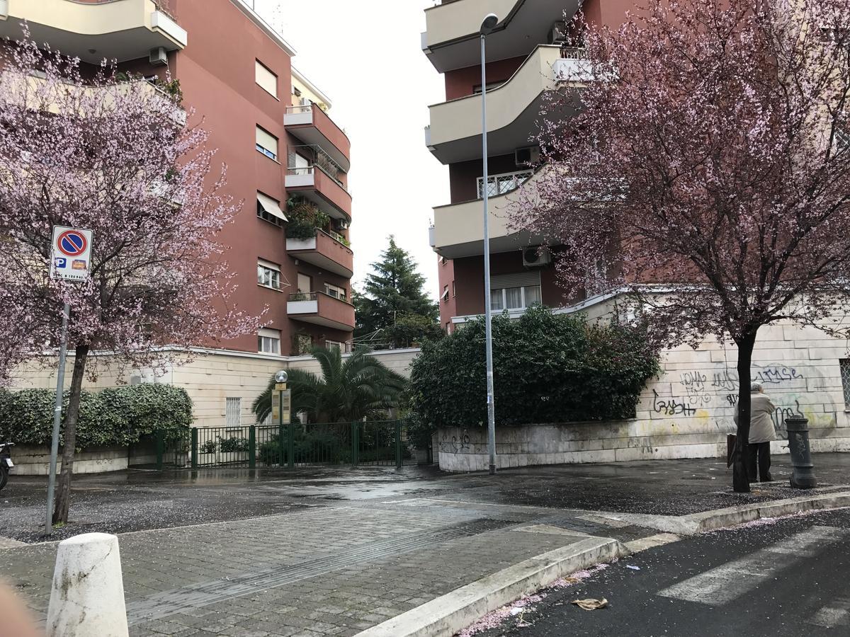 梵蒂冈五月之家住宿加早餐旅馆 罗马 外观 照片